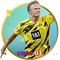 cwin 01
