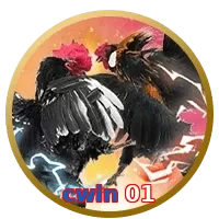 cwin 01