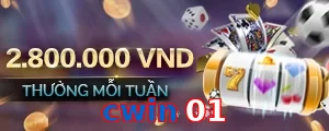cwin 01