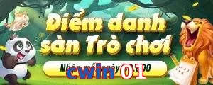 cwin 01