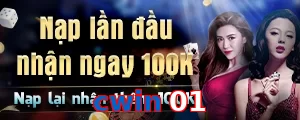 cwin 01